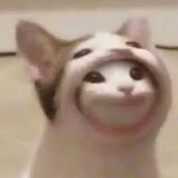 Meet your Posher, Eden - Picture 1 of 1